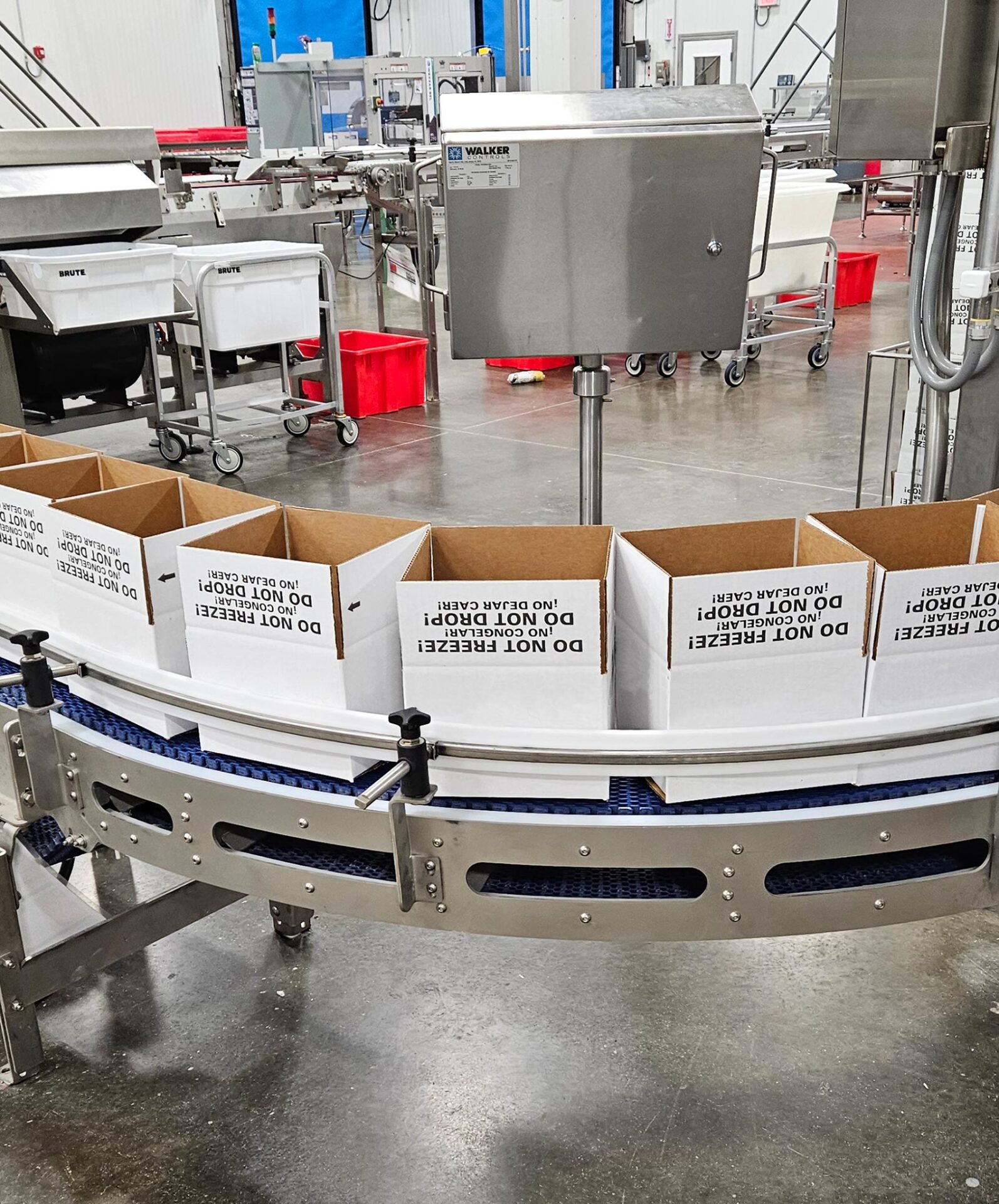 Curved Box Conveyor