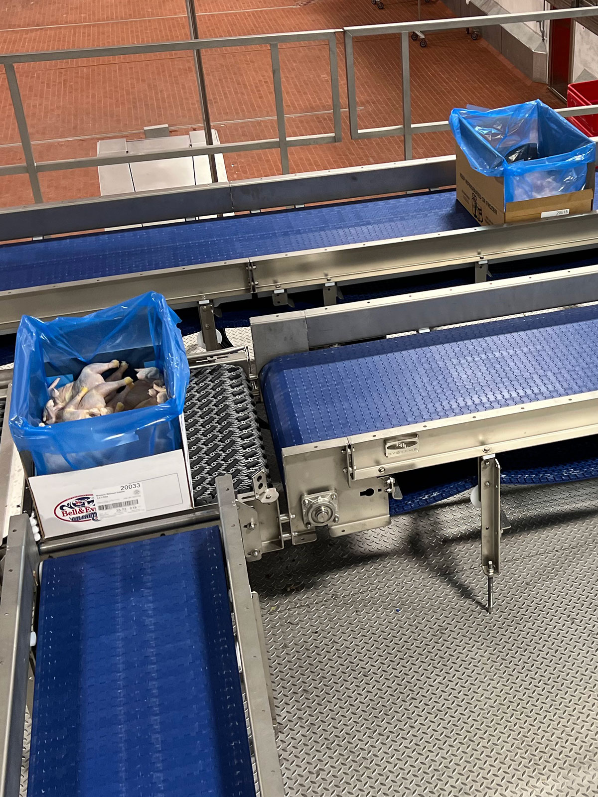 Sanitary-Pretzel-Conveyors